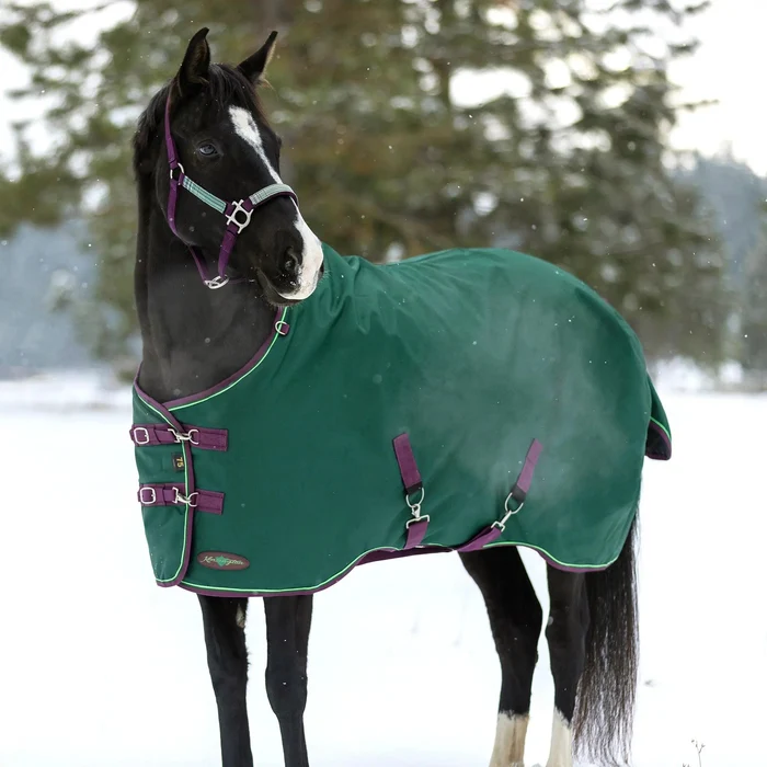 Horse blanket green