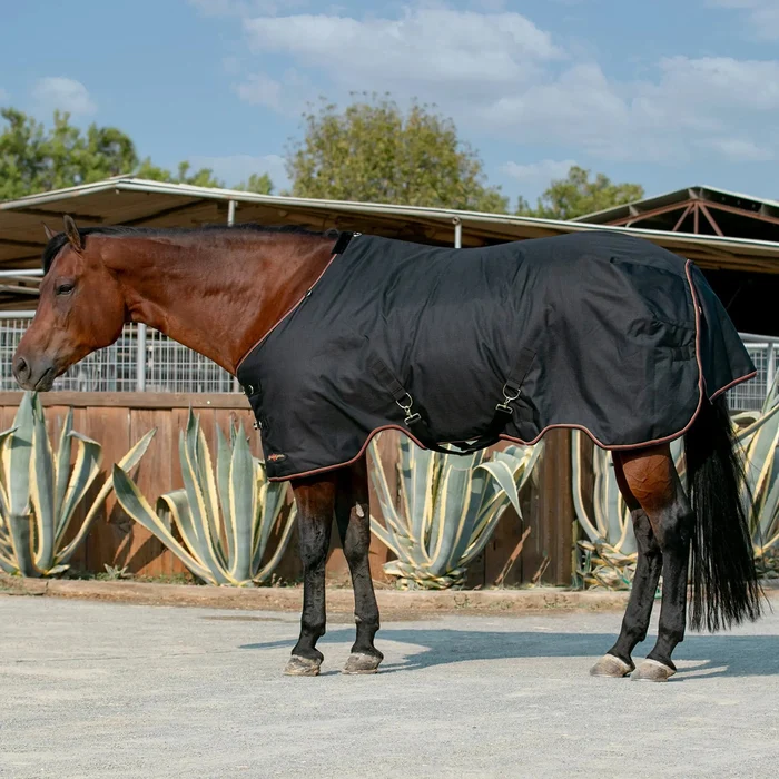 Horse blanket black