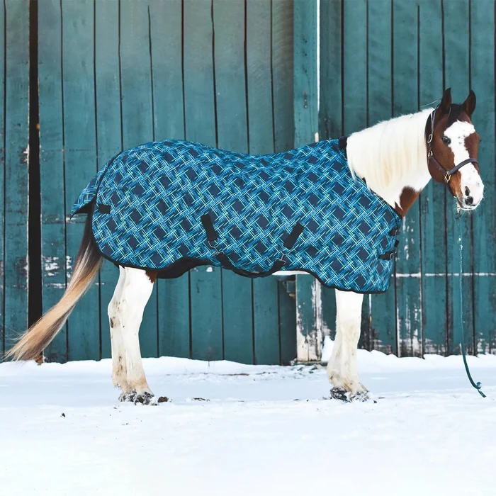 Horse blanket turquoise plaid