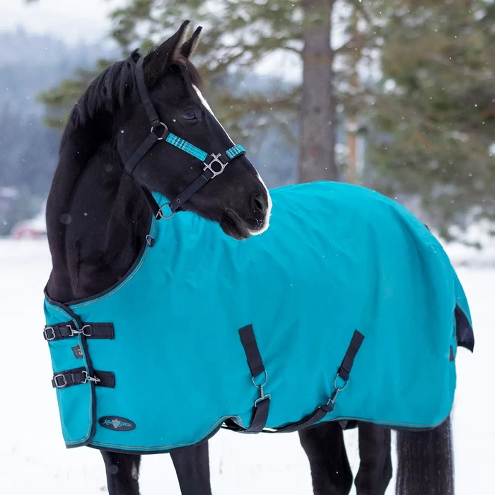 Horse Mule Mammoth donkey blanket Turquoise