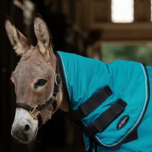 Miniature donkey neck warmer turquoise